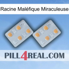 Racine Maléfique Miraculeuse 25